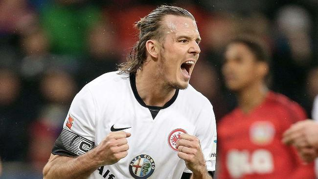 表现出色的 表现出色的