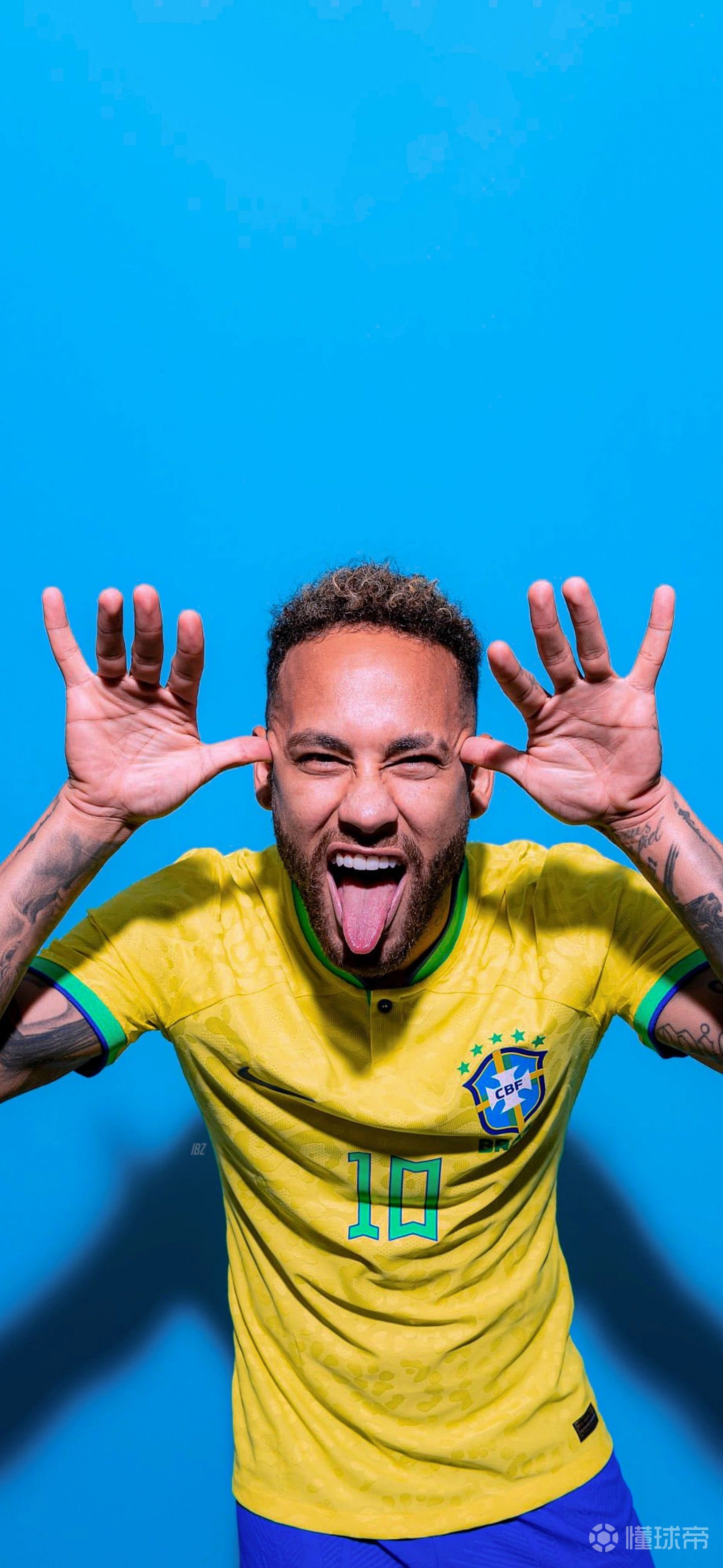 内二次墙式 内二次墙式