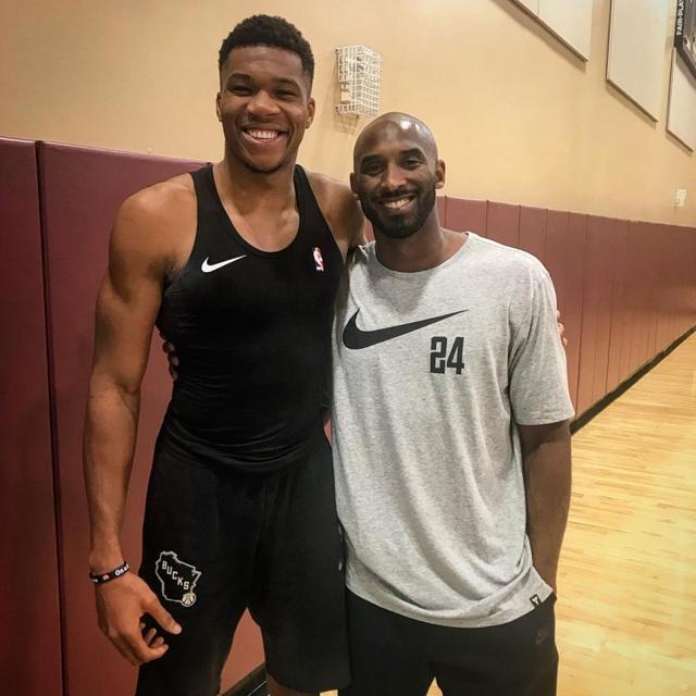 到打龙或拉 到打龙或拉